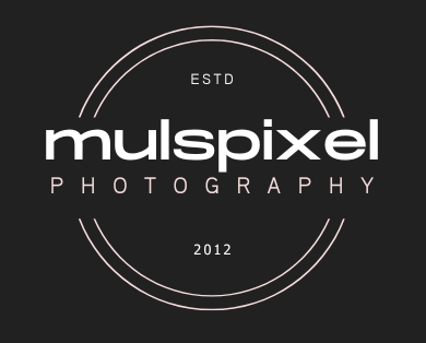 muklspixel logo