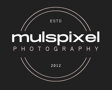 Mulspixel logo